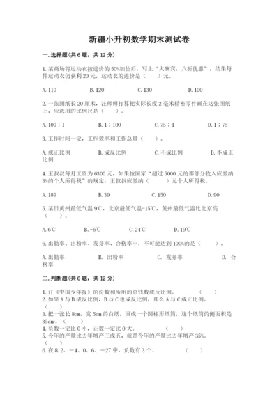 新疆小升初数学期末测试卷完整.docx