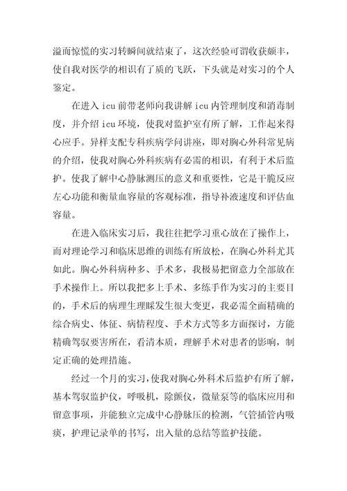 医学生个人实习总结600字