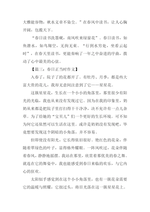 春日正当时作文800字.docx