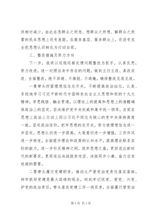在巡视整改专题民主生活会上的发言提纲【参考范文】.docx
