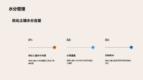 小麦种植宝典