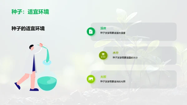 植物生命奇迹