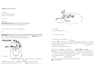 4.2基因对性状的控制导学案张泰20201127083129