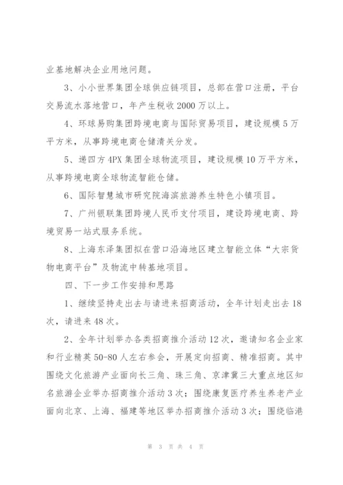 新区招商局工作总结及明年工作安排.docx