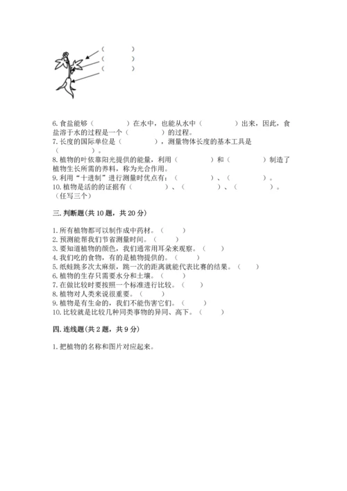 教科版一年级上册科学期末测试卷带答案（实用）.docx