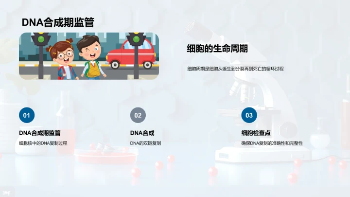 细胞学授课PPT模板