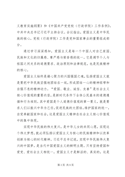 学习《新时代爱国主义教育实施纲要》心得5篇.docx