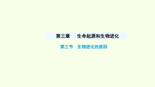 7.3.3生物进化的原因课件-人教版生物八年级下册(共37张PPT)
