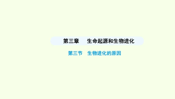 7.3.3生物进化的原因课件-人教版生物八年级下册(共37张PPT)