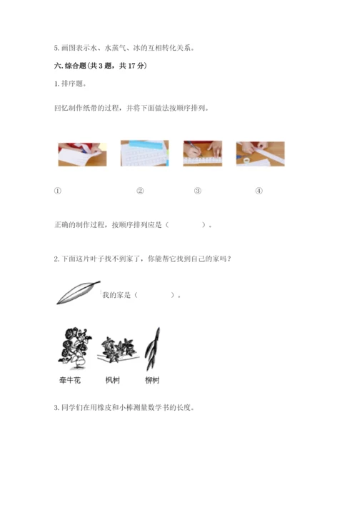 教科版一年级上册科学期末测试卷带解析答案.docx
