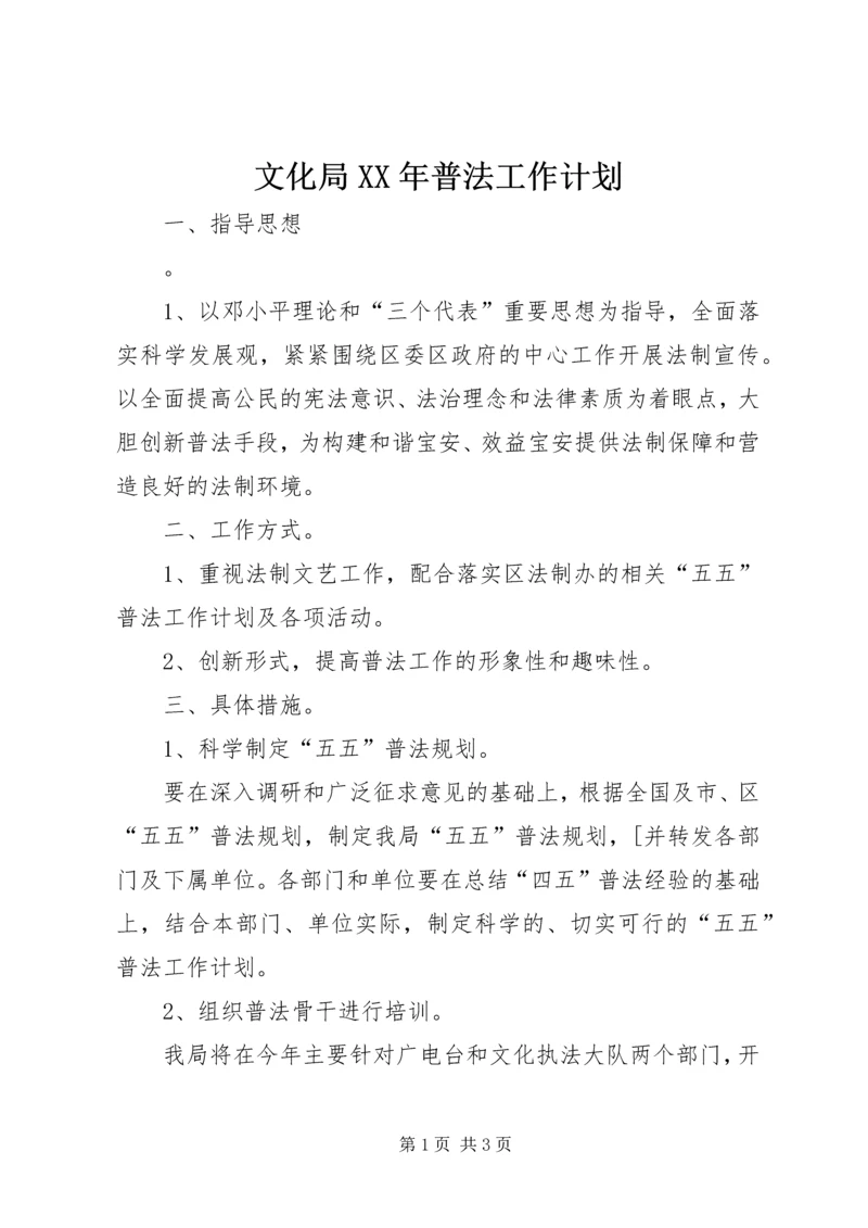 文化局XX年普法工作计划.docx