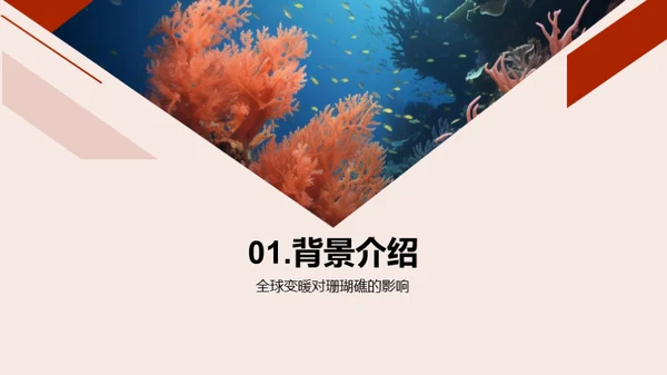 保护珊瑚礁：拯救海洋的使命