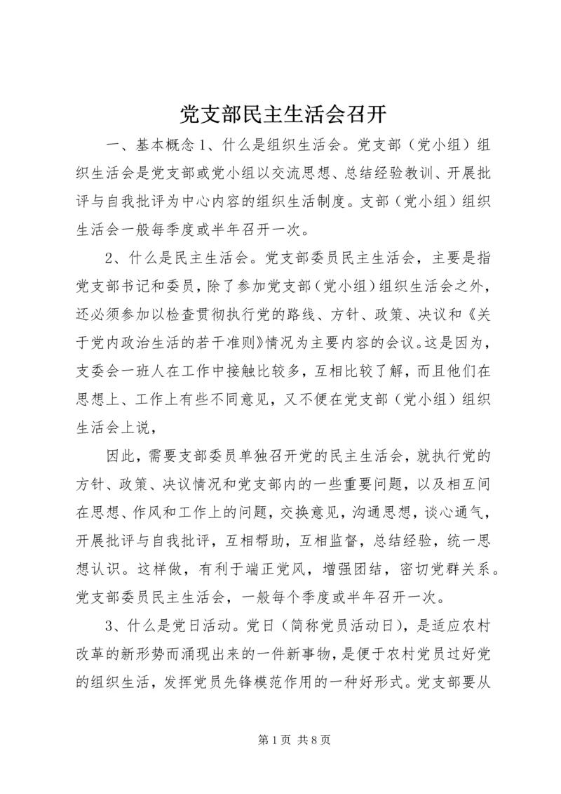 党支部民主生活会召开.docx