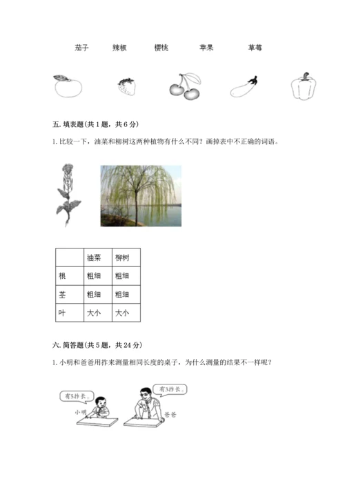 教科版一年级上册科学期末测试卷含答案（巩固）.docx