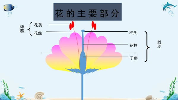 人教版八年级下册生物复习课件