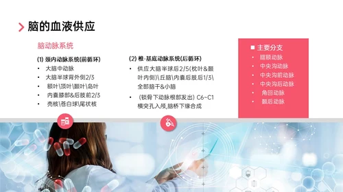 红色实拍后循环缺血护理查房医疗脑血管中风治疗诊断措施培训ppt
