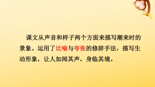 1 观潮   课件