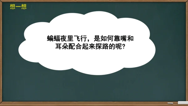 6 夜间飞行的秘密（课件）