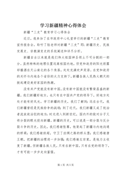 学习新疆精神心得体会.docx