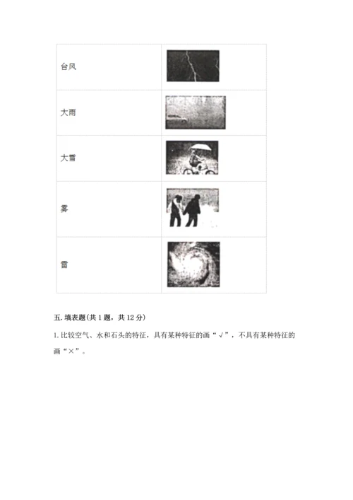 教科版三年级上册科学期末测试卷附完整答案【易错题】.docx