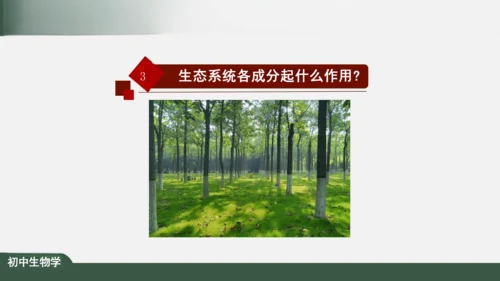 1.2.2 生物与环境组成生态系统 课件（共30张PPT）