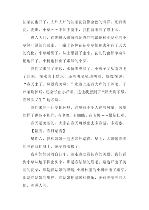 春日踏青作文400字.docx