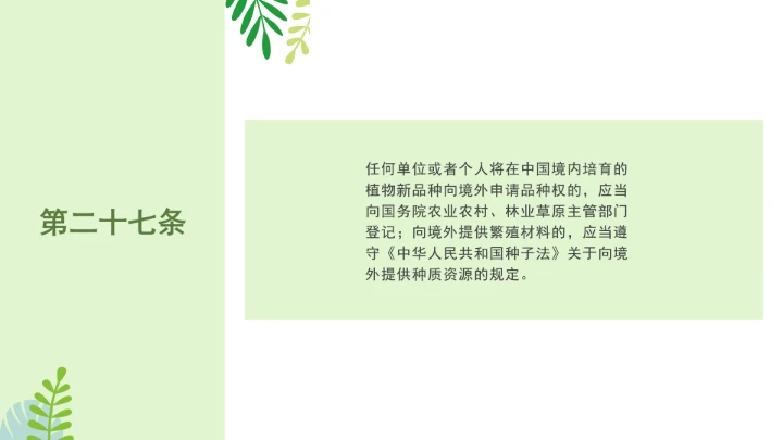 普法全文学习2025年4月新修订《中华人民共和国植物新品种保护条例》PPT课件