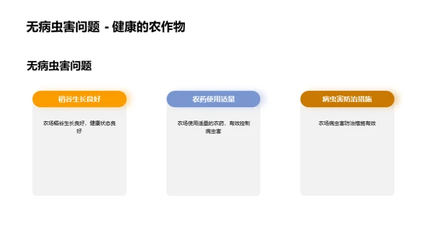 丰收之路：稻谷种植解析