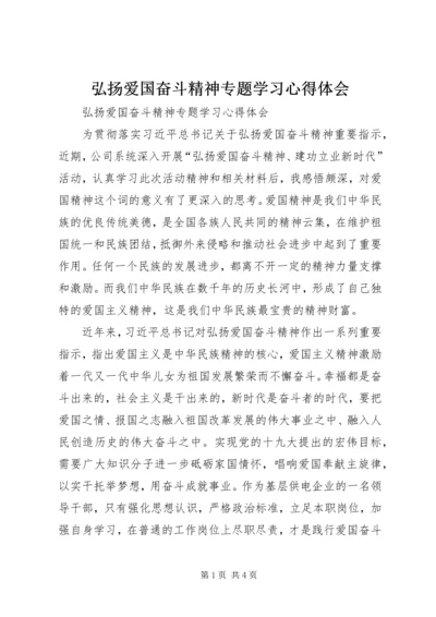 弘扬爱国奋斗精神专题学习心得体会.docx