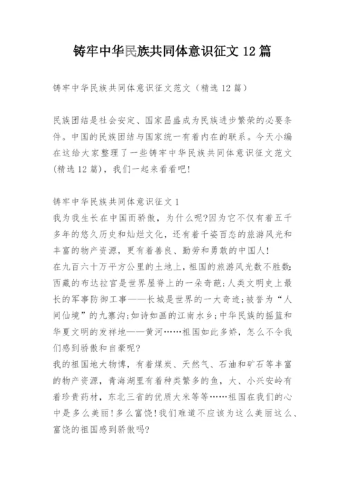 铸牢中华民族共同体意识征文12篇.docx