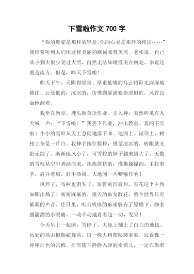 下雪啦作文700字.docx