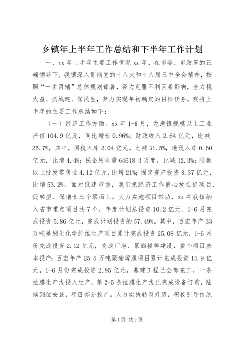 乡镇年上半年工作总结和下半年工作计划.docx