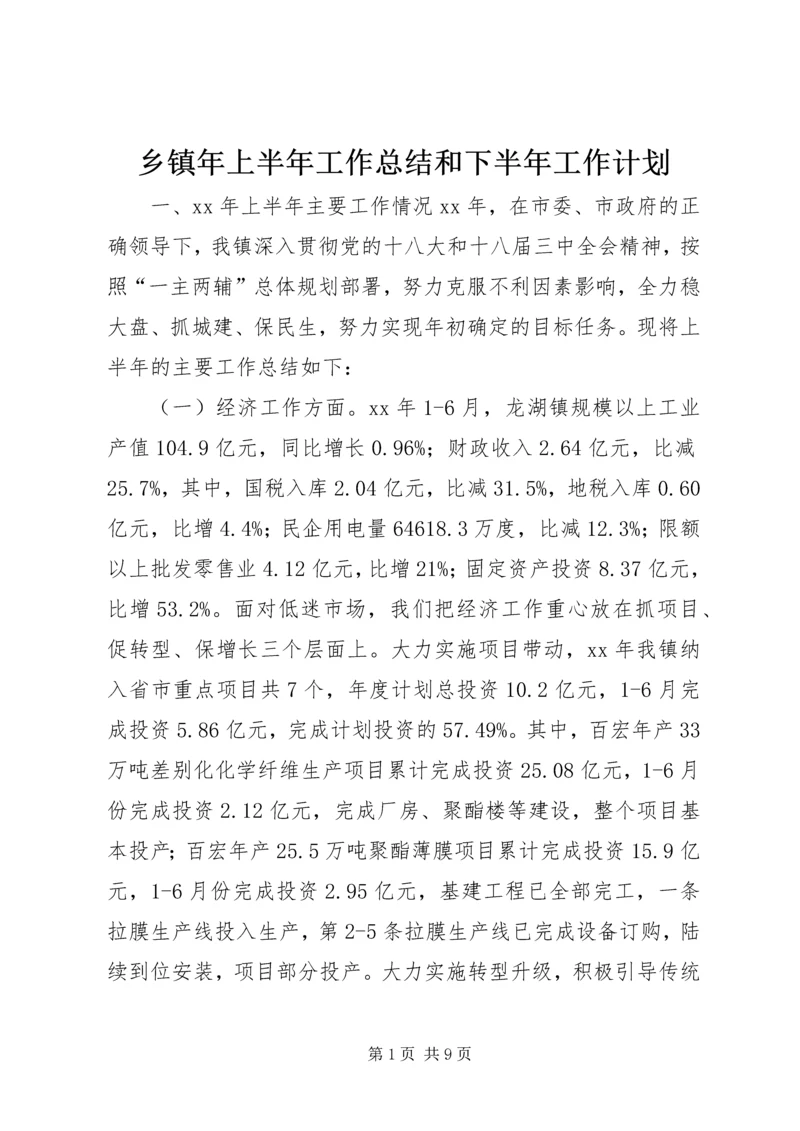 乡镇年上半年工作总结和下半年工作计划.docx