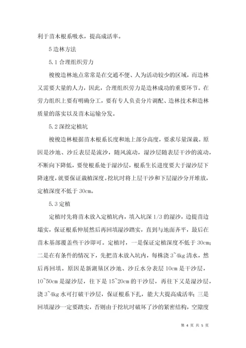 梭梭荒漠造林技术论文.docx