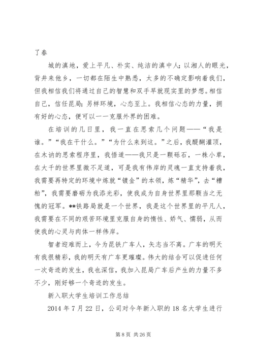 新入职大学生工作体会.docx