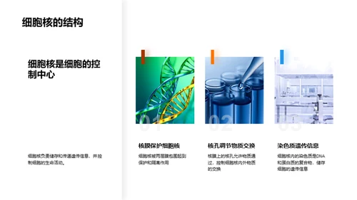 3D风生物医疗教学课件PPT模板