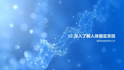 人体器官解剖讲座PPT模板