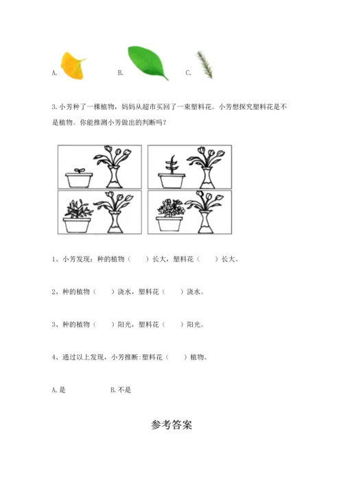 教科版科学一年级上册第一单元《植物》测试卷附答案（b卷）.docx