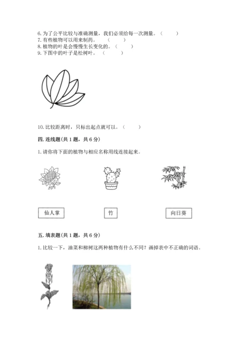教科版一年级上册科学期末测试卷及参考答案1套.docx