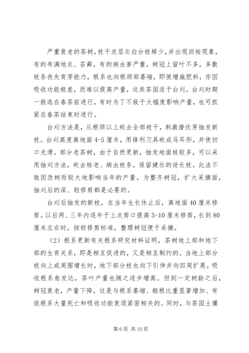 茶园改造实施方案 (3).docx