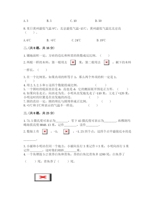 人教版数学六年级下册试题期末模拟检测卷精品【历年真题】.docx