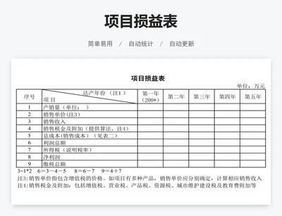 项目损益表