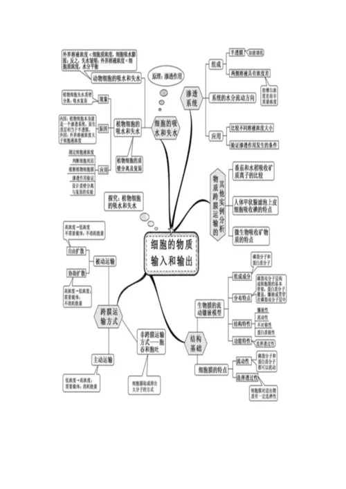 高中生物思维导图.docx