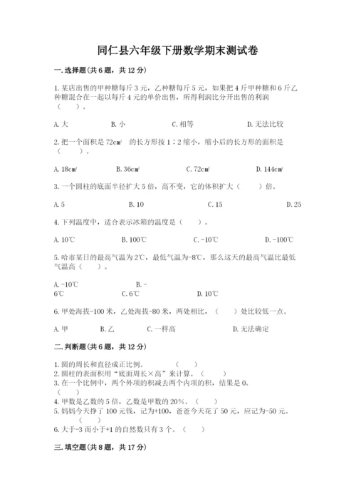 同仁县六年级下册数学期末测试卷及答案一套.docx