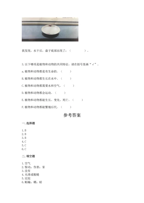 教科版一年级下册科学期末测试卷附参考答案【满分必刷】.docx