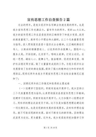 宣传思想工作自查报告2篇.docx