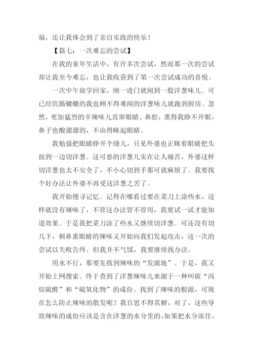 一次难忘的尝试作文600字.docx