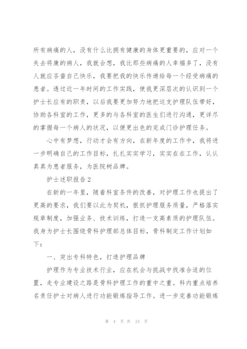 护士个人述职报告范文.docx