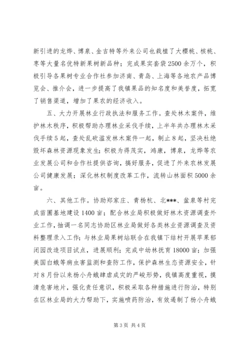 乡镇林业站年终工作总结.docx