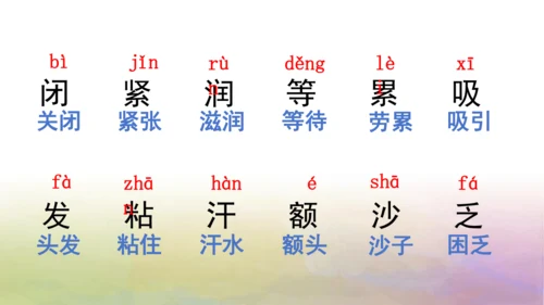 部编版二年级语文上册第三单元复习   课件